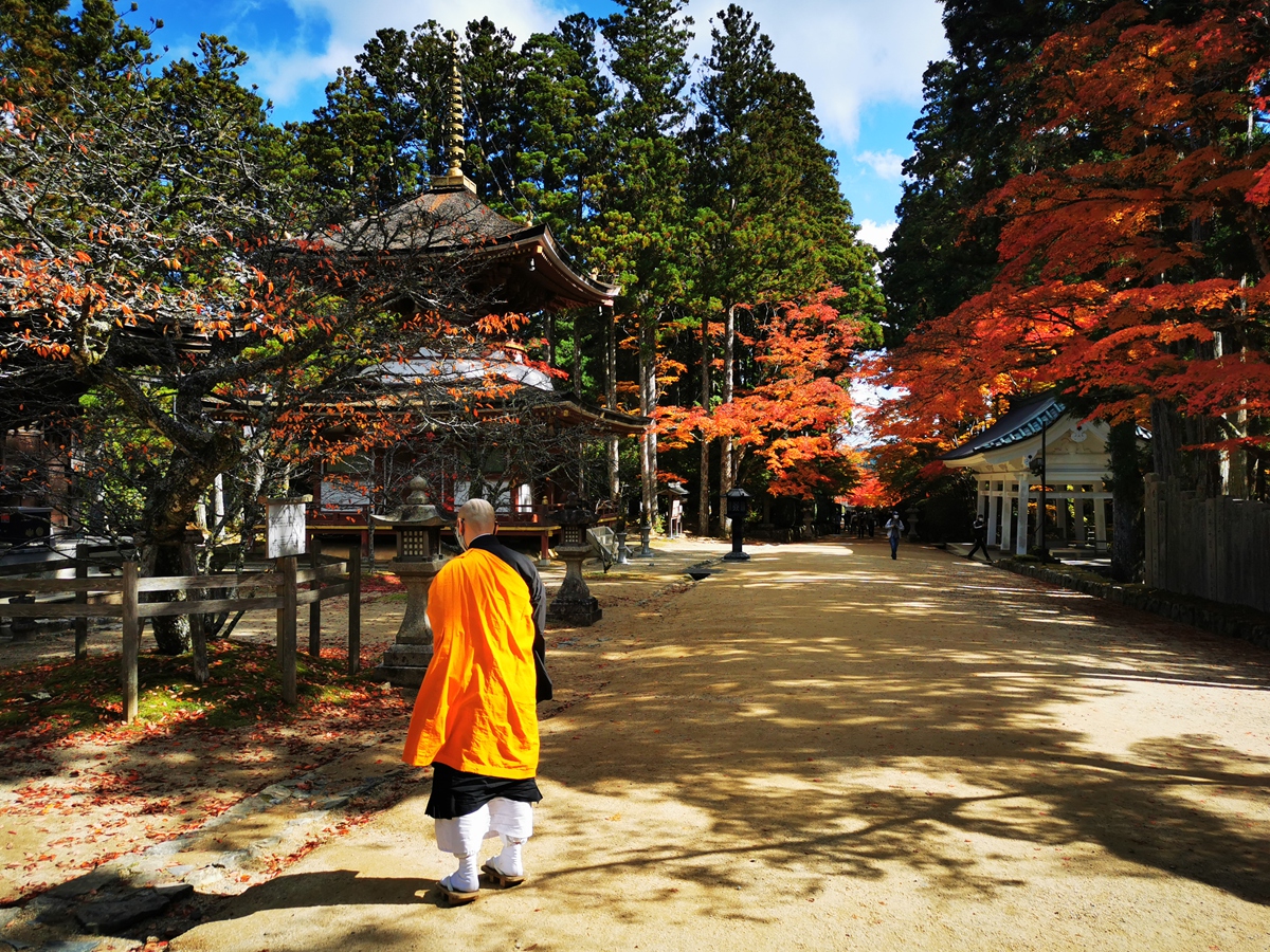高野山 壇上伽藍